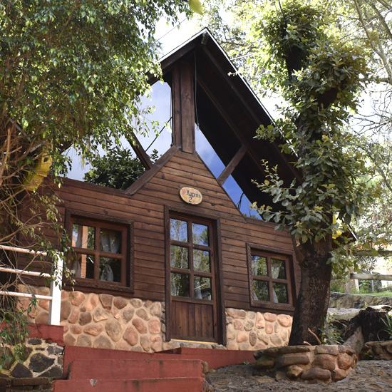 Cabaña en renta D´Lorens 2